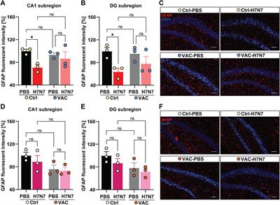 Influenza vaccine is able to prevent neuroinflammation triggered by H7N7 IAV infection